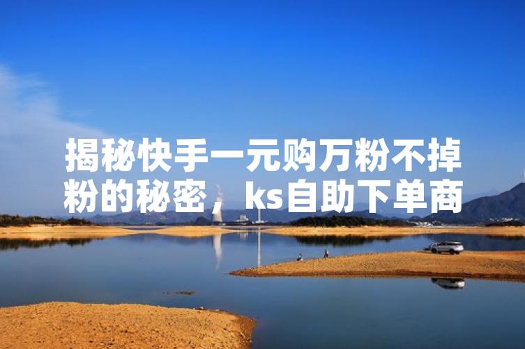 自助下单模式_ks自助下单服务平台_自助下单业务