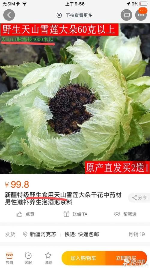 拼多多点赞在哪里_拼多多点赞有风险吗_拼多多点赞有钱是真的吗