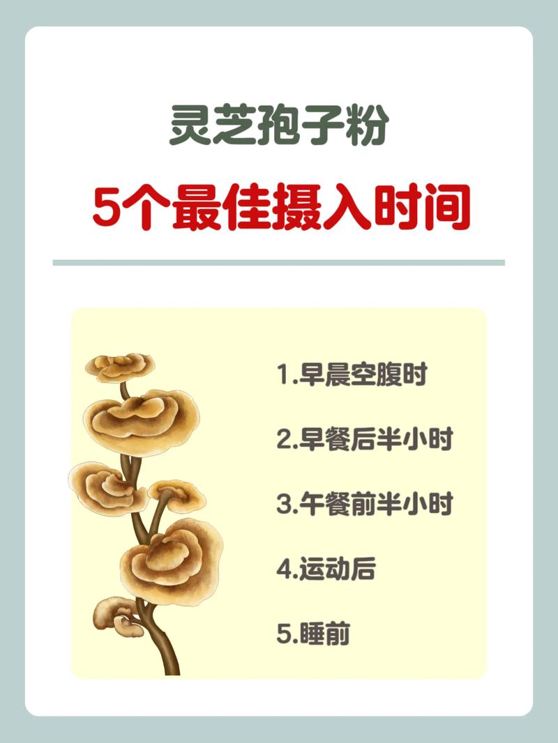 买粉渠道_渠道货是假的吗_买渠道货大概率会是假的吗