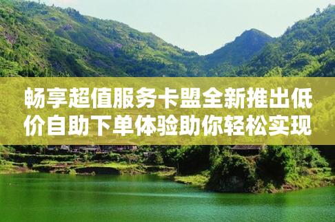 自助下单卡盟网_自助下单发卡网_24小时自助下单卡盟大叔