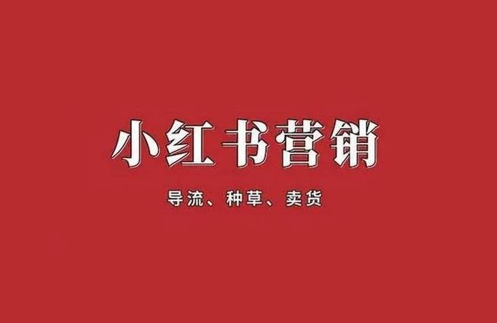 快手播放量一万免费网站_免费快手播放量网站蚂蚁_快手在线播放量免费
