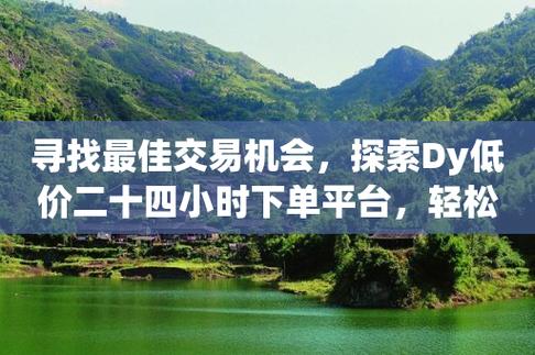24小时自助软件_24小时自助业务下单超稳定_dy24小时自助服务平台