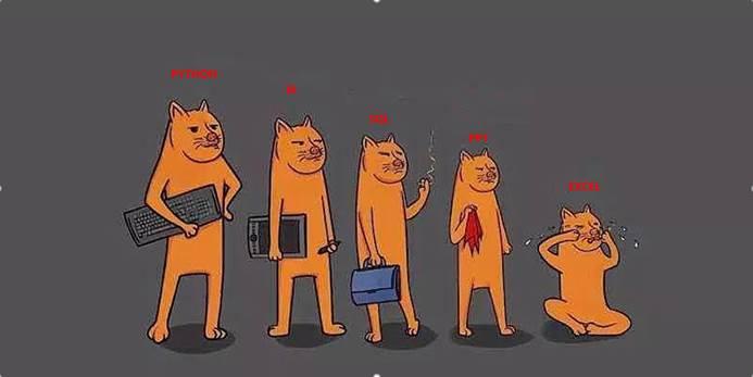 快手人气票有什么用_快手上的人气是真的吗_快手可以买人气吗