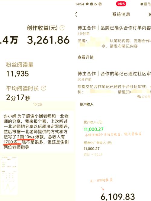 买小红书1000粉有买的吗_小红买了一本书_小红书买500粉丝要多少