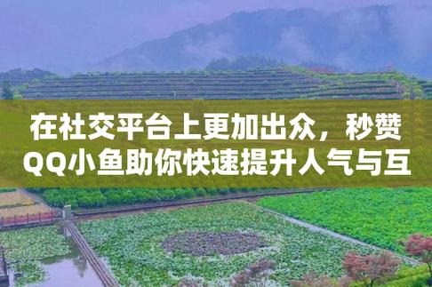 秒赞平台有什么_秒赞怎么赚钱_秒赞平台