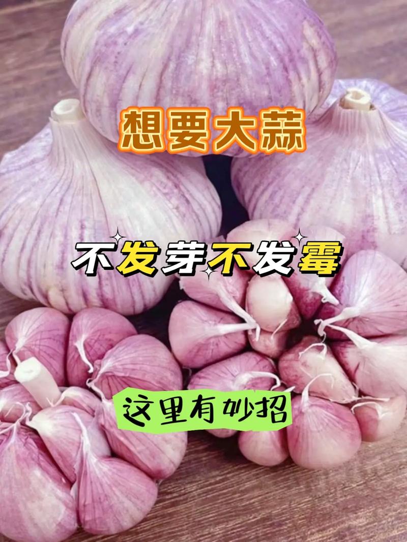 拼多多点赞是啥意思_拼多多点赞在哪里_拼多多点赞有钱是真的吗