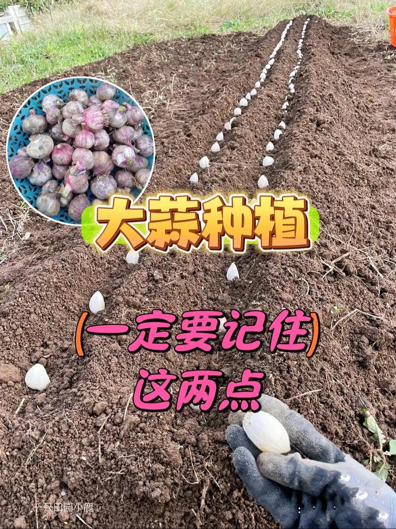 拼多多点赞是啥意思_拼多多点赞有钱是真的吗_拼多多点赞在哪里