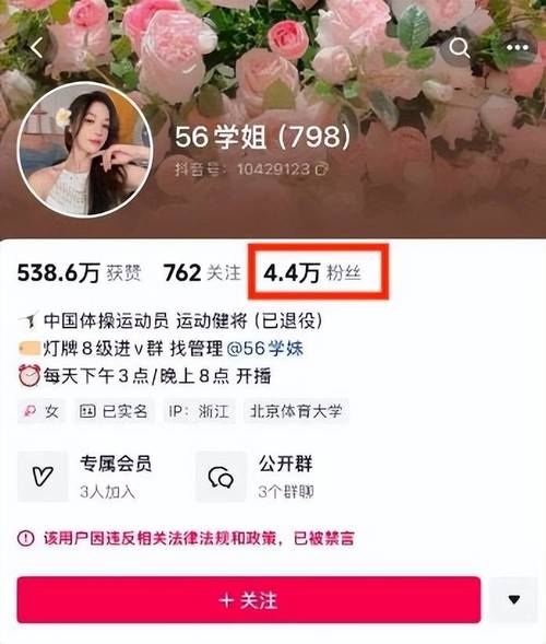 抖音看粉丝数量_抖音粉丝怎么看_抖音有效粉丝在哪里看