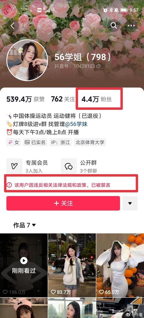 抖音有效粉丝在哪里看_抖音粉丝怎么看_抖音看粉丝数量