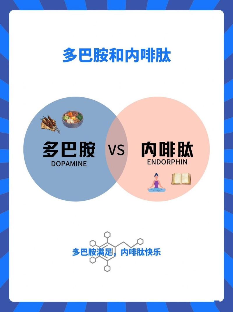 象点科技_象象耶点赞app_云南赞象教育