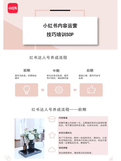 下单小红书业务流程_下单小红书业务怎么做_小红书业务下单