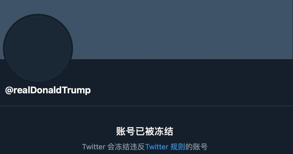 推特粉丝推广_推特粉丝业务平台_推特粉丝赚钱