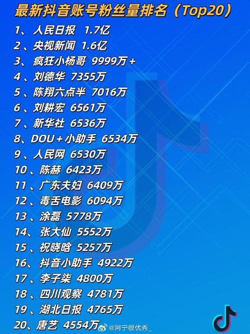 抖音粉丝业务24小时免费_抖音粉丝有免费礼物吗_抖音粉丝平台费用