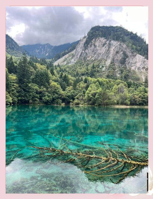 买热度会限流吗_买热门会被限流吗_热门之后限流