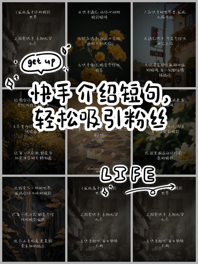 快手业务平台_快手业务平台_快手业务平台