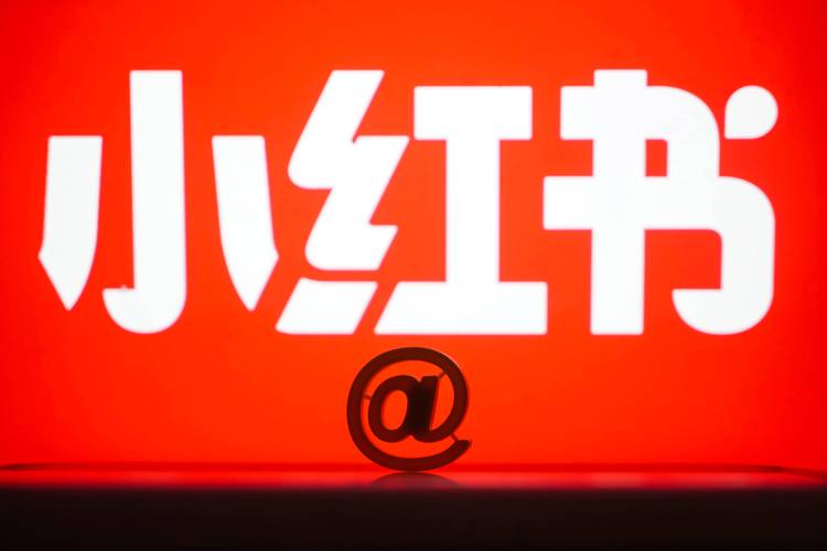 买小红书1000粉有买的吗_小红买书用去所有钱的一半_小红去书店买书一共花了30元