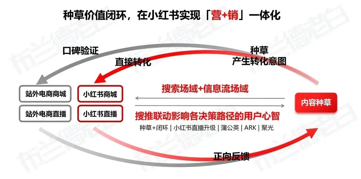 《6哥和小红》腐书_微博涨粉互粉涨粉的话_小红书涨粉逻辑的四个方面