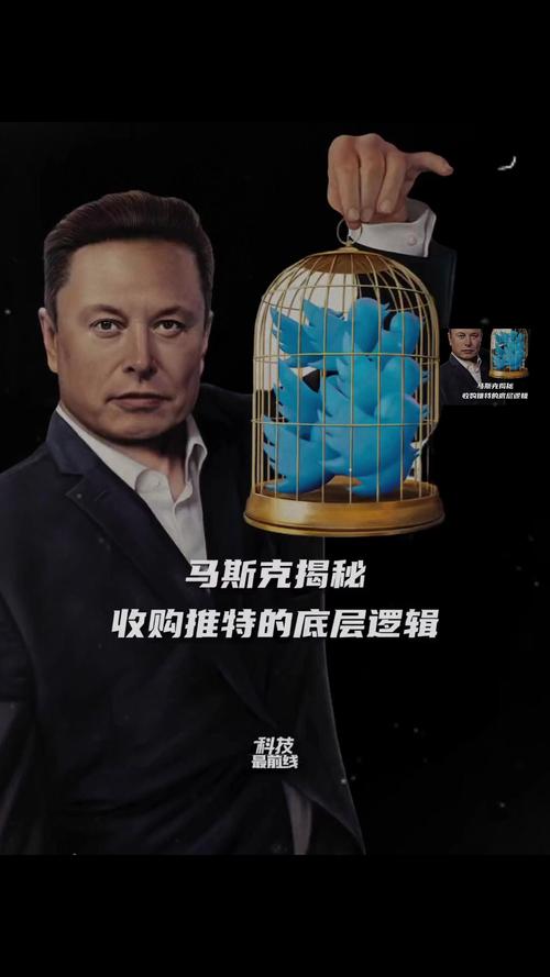 推特粉丝赚钱_推特粉丝含金量_推特粉丝业务平台