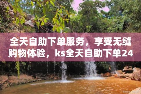下单平台是84dsw点cn_ks24小时下单平台_24h下单平台