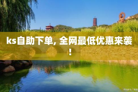24小时自助下单全网最低价ks_自助下单全网最便宜_最低价自助下单