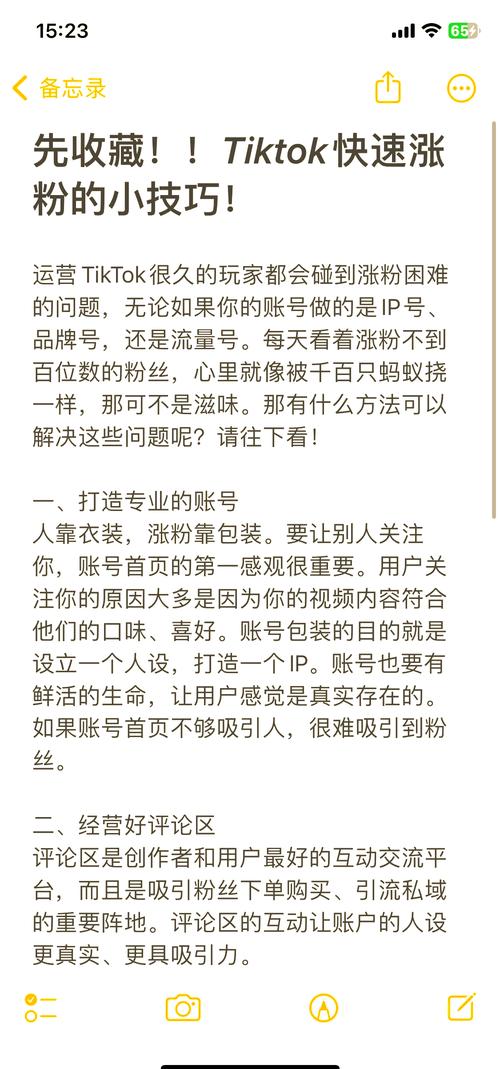 tiktok粉丝购买_tiktok加粉_tiktok千粉号