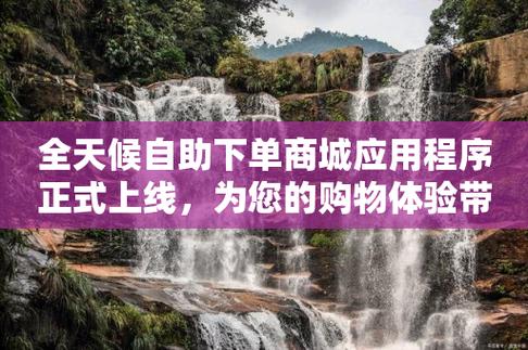 抖音最低价平台_抖音低价二十四小时下单平台_抖音超低价