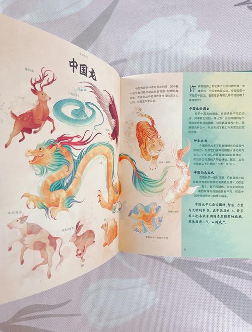 象象耶_象的笔画顺序_象拔蚌
