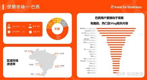 快手巴西市场分析_快手国际化战略_快手24小时自助免费下单软件