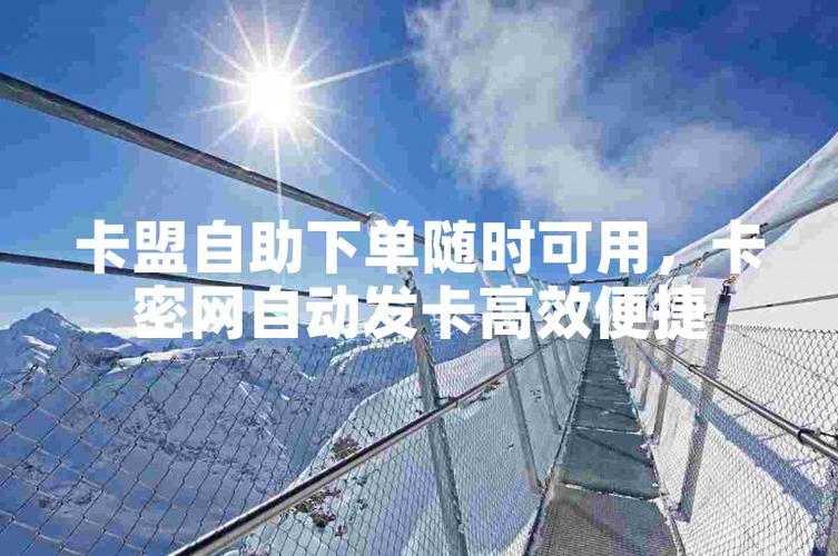 卡盟自助下单秒到服务_卡盟平台自助下单低价_卡盟低价策略优势