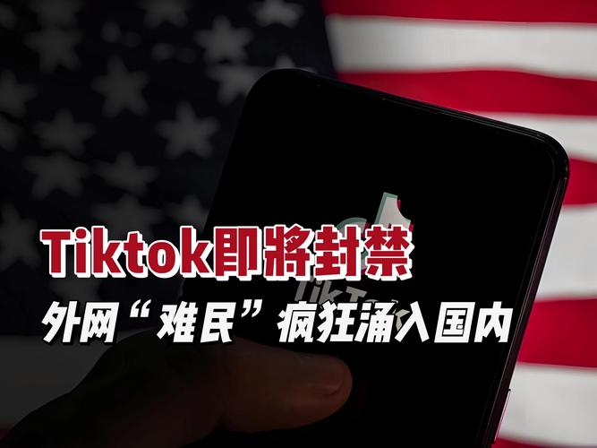 TikTok难民小红书涌入原因_小红书涨粉平台_小红书挑战机遇分析