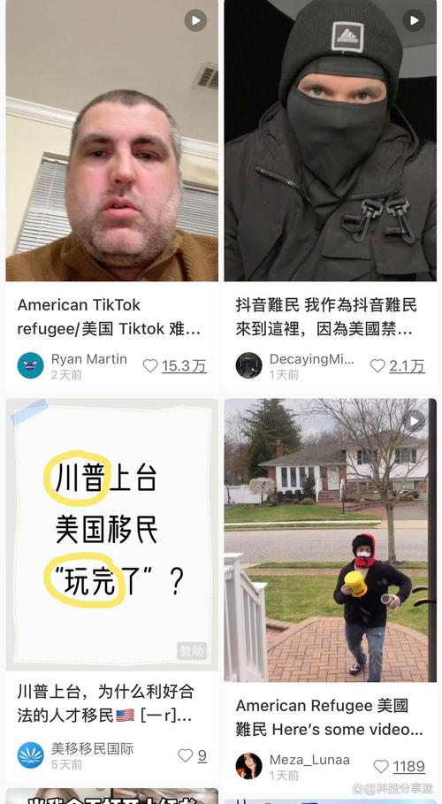 小红书涨粉平台_小红书TikTok难民流量_美国网友小红书互动