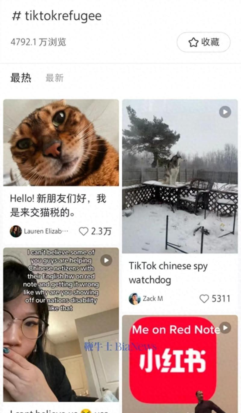 小红书涨粉平台_TikTok封禁风险_Elon Musk小红书账号真假