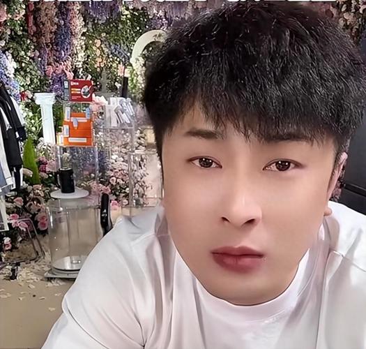 快手辛巴直播带货_快手买双击_黑龙江辛有志创业故事