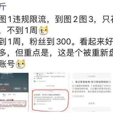 小红书违规操作限流原因_小红书涨粉丝最快的方法_小红书增粉方法及技巧