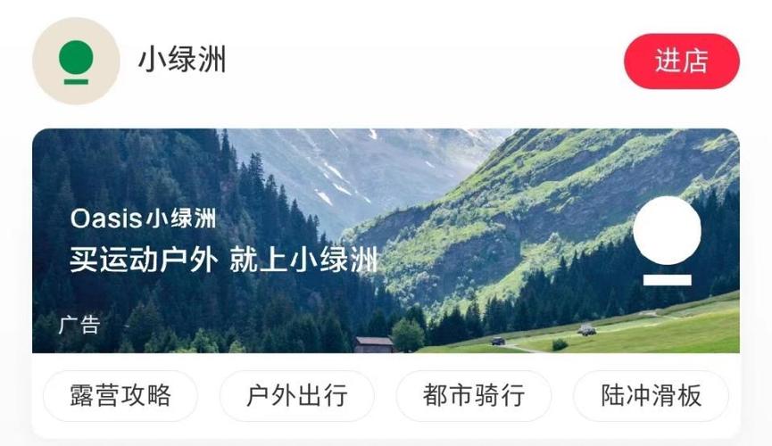 小红书电商发展困境分析_小红书业务24小时免费下单平台_小红书电商“小绿洲”关闭原因