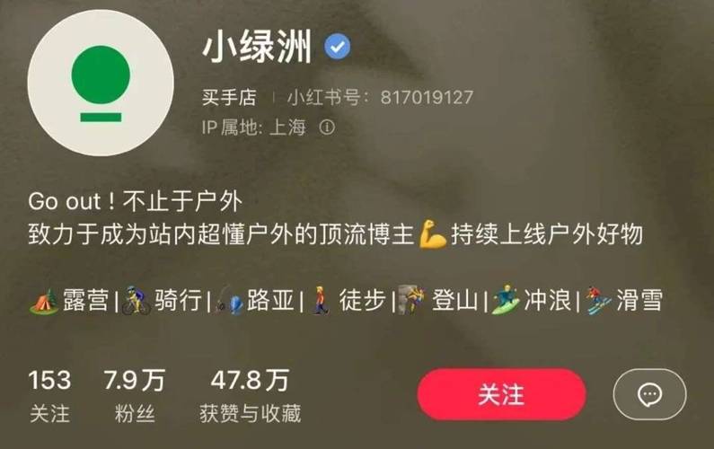 小红书业务24小时免费下单平台_小红书电商“小绿洲”关闭原因_小红书电商发展困境分析