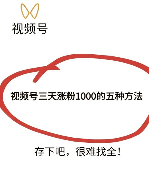 微信视频号涨粉技巧_视频号内容优化方法_闲鱼如何涨粉