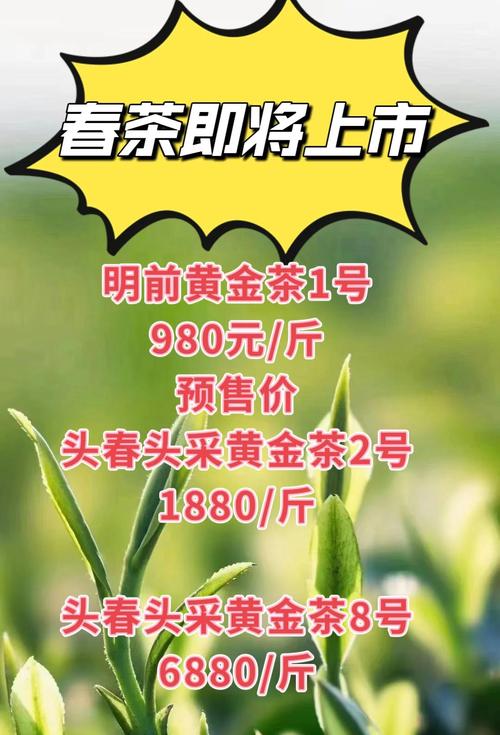 快手春茶尝鲜季活动_快手涨热度_安徽老字号茶企快手直播
