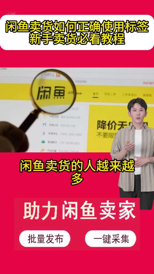 二手市场行情分析_闲鱼搜索行情功能_闲鱼业务网