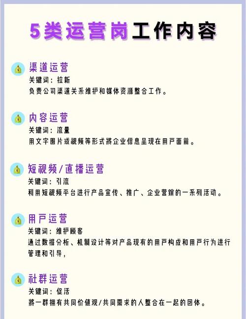 抖音小红书视频号内容运营_互联网自媒体平台运营_新媒体自助下单平台
