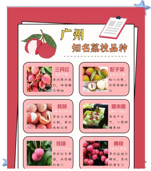 拼多多帮人助力_拼多多荔枝丰收年_海南荔枝产量评估
