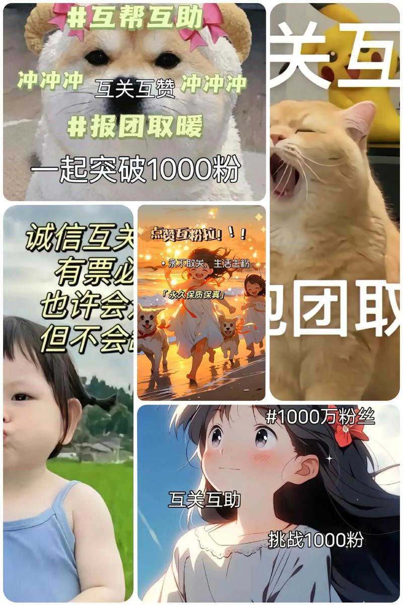 低价抖音一千粉_抖音1000粉丝价格_抖音真人粉丝购买