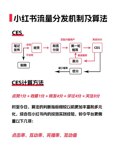 小红书粉丝自动下单_小红书品牌营销误区_小红书无效打法