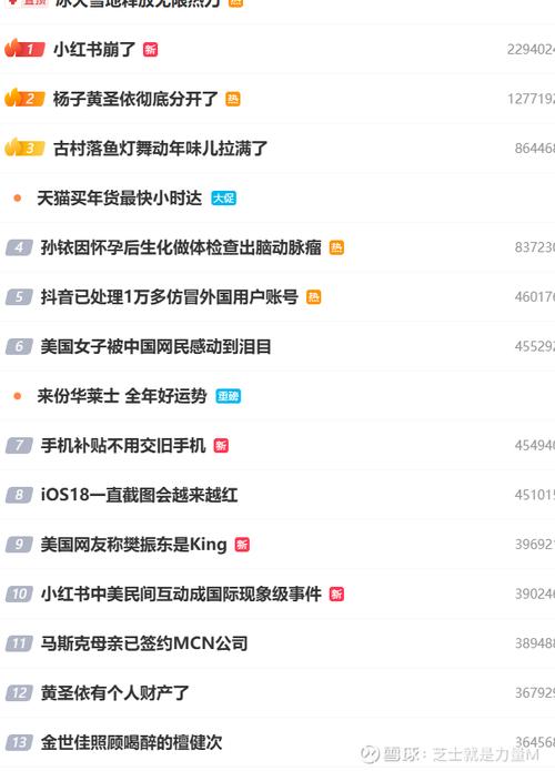 怎么才能在小红书上增加粉丝_小红书粉丝数量与广告合作机会_小红书博主粉丝数与品牌合作