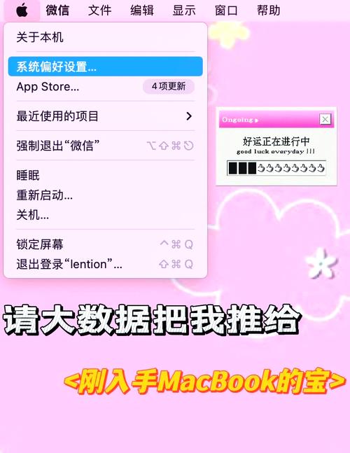 小红书Mac版安装教程_小红书Mac版客户端下载步骤_小红书涨粉丝最快的方法