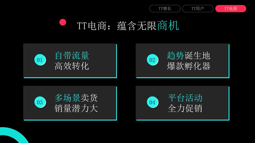 TK跨境电商平台_TK全球化运营_tk买粉交易平台
