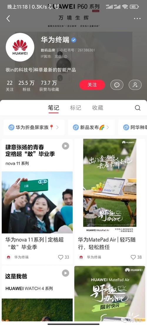 小红书2021年1~8月社区生态治理_小红书业务下单24小时_小红书虚假医美信息治理