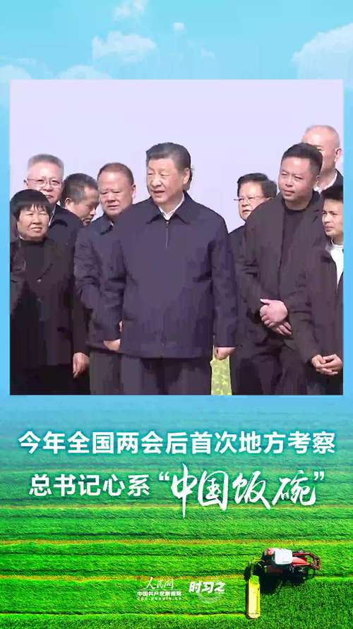 象象耶_象组词_象的结构