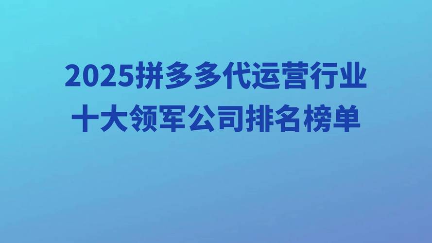 拼多多代运营公司_拼多多数据化运营公司_拼多多助力接单平台