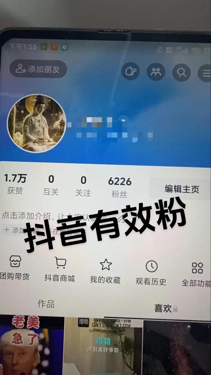 快手粉丝一元1000个不掉粉可信吗_快手涨粉有效方法_快手一元1000赞